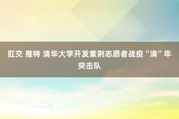 肛交 推特 清华大学开发紫荆志愿者战疫“清”年突击队