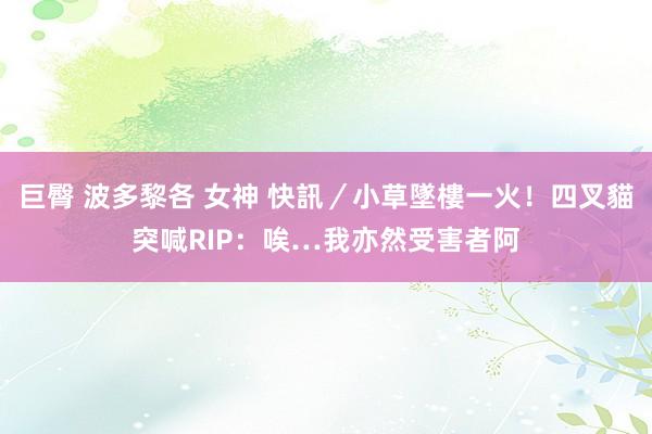 巨臀 波多黎各 女神 快訊／小草墜樓一火！四叉貓突喊RIP：唉…我亦然受害者阿
