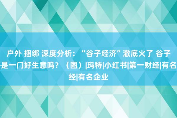 户外 捆绑 深度分析：“谷子经济”澈底火了 谷子经济是一门好生意吗？（图）|玛特|小红书|第一财经|有名企业