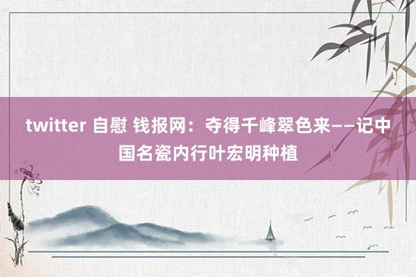 twitter 自慰 钱报网：夺得千峰翠色来——记中国名瓷内行叶宏明种植