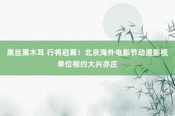 黑丝黑木耳 行将启幕！北京海外电影节动漫影视单位相约大兴亦庄