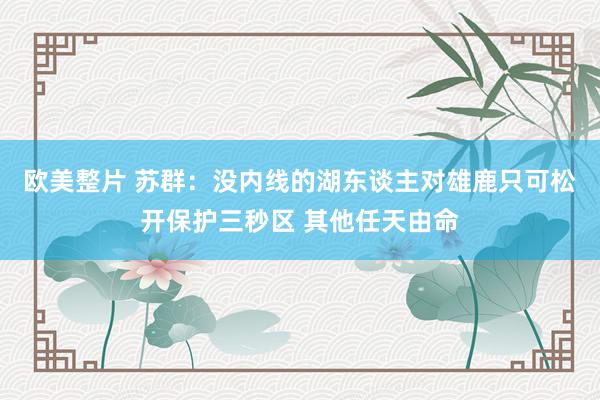 欧美整片 苏群：没内线的湖东谈主对雄鹿只可松开保护三秒区 其他任天由命