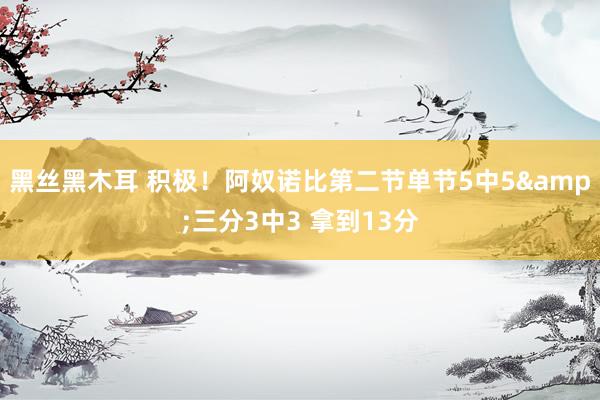 黑丝黑木耳 积极！阿奴诺比第二节单节5中5&三分3中3 拿到13分
