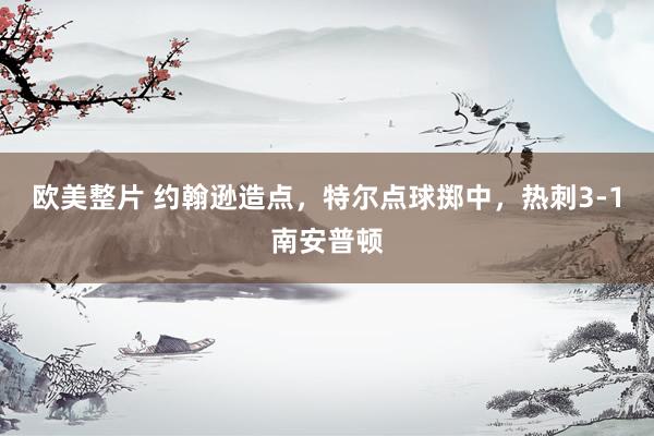 欧美整片 约翰逊造点，特尔点球掷中，热刺3-1南安普顿